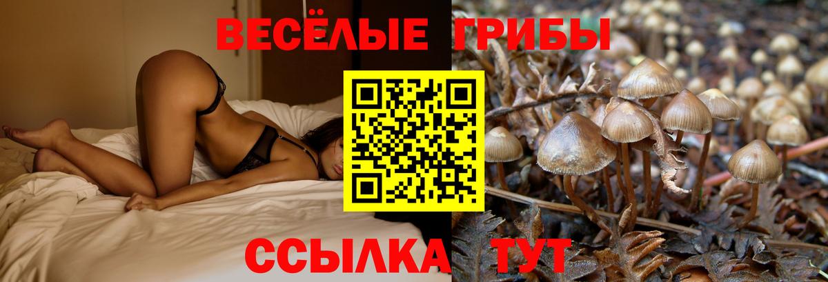 Майкоп  Галлюциногенные грибы мицелий  Вход с VPN 